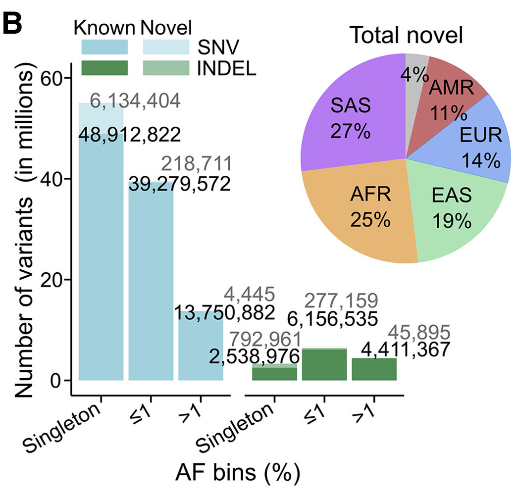 1000 Genomes allele count figure