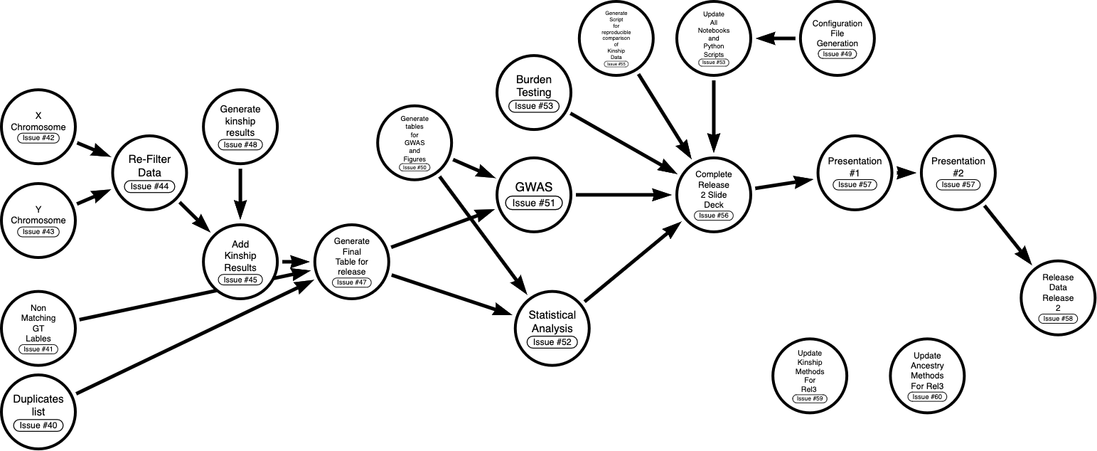 Fig 1. Graph describing the workflow of tasks needed to be performed to complete Data Release 2